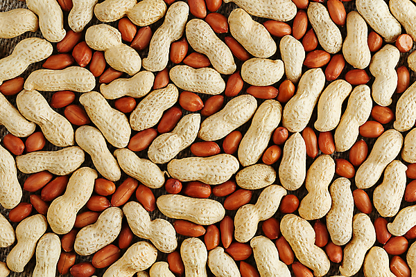 포토 JPG 해외이미지 실내 사람없음 하이앵글 여러개 가득함 땅콩 해외포토 뷰포인트 다수 내부 견과류 파일형식 이미지허브