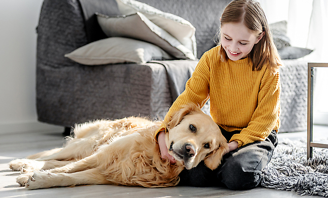 포토 JPG 해외이미지 전신 서양인 응시 여자 어린이 실내 한명 앉기 앞모습 옆모습 소파 골든리트리버 강아지 무릎꿇기 소녀한명만 쓰다듬기 해외포토 외국인 1 시선 뷰포인트 의자 모션 사람 내부 반려동물 개 리트리버 여자한명만 소녀만 파일형식 이미지허브