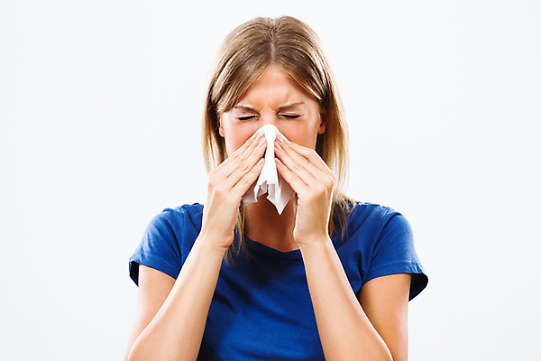 포토 JPG 해외이미지 백인 계절 여자 얼굴 실내 한명 사람 성인 금발 약 머리 고통 추위 잡기 열 조직 호흡기관 바이러스 질병 불기 어깨 코 슛 꽃가루 손수건 시스템 알레르기 재채기 유일 해외포토 서양인 1 헤어스타일 감정 의학 모션 내부 신체부위 장기_의학 가루 파일형식 이미지허브