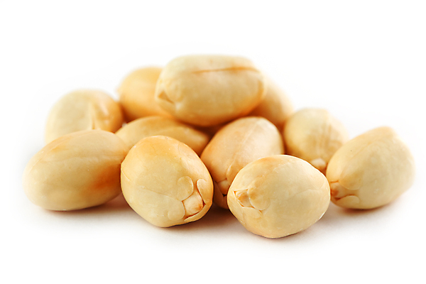 포토 JPG 해외이미지 실내 사람없음 여러개 흰배경 땅콩 해외포토 다수 백그라운드 내부 견과류 흰색 파일형식 이미지허브