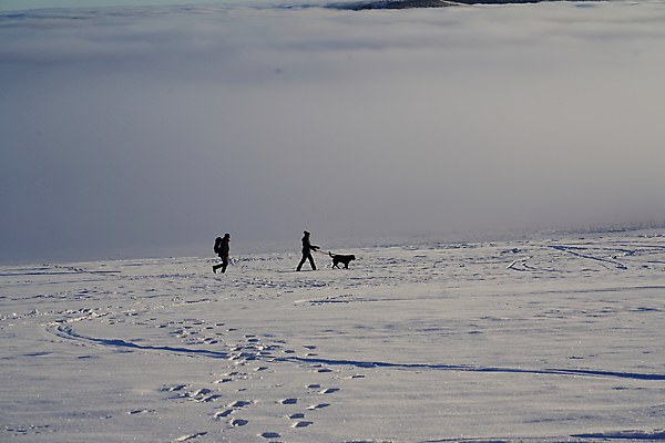 포토 JPG 해외이미지 나무 구름 계절 유럽 바다 여행 백그라운드 겨울 자연 하늘 휴가 스키 산 독일 파노라마 풍경 사람없음 야외 목재 물 파란색 빛 햇빛 태양 걷기 환경 냉동 얼음 추위 흰색 숲 언덕 서리 장면 절정 눈내림 해외포토 자연요소 식물 나라 컬러 재료 모션 겨울스포츠 눈_날씨 촬영기법 생태계 파일형식 이미지허브