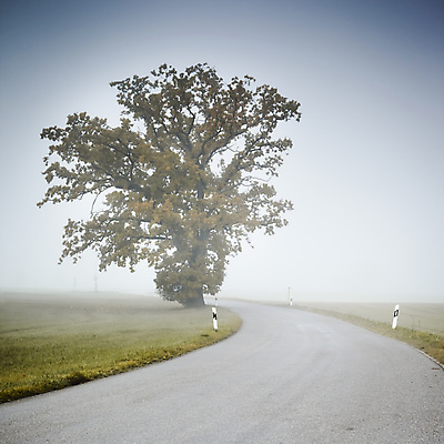포토 JPG 해외이미지 나무 계절 도로 백그라운드 밭 오렌지 자연 벽지 아침 산 독일 따뜻함 그림자 풍경 사람없음 야외 초록색 파란색 빛 우주 어둠 일몰 봄 꿈 젖음 흐름 추위 안개 가을 나뭇가지 숲 오두막 신비 언덕 속도 알프스 공상 마법 바이에른 해외포토 주간 식물 유럽 길 컬러 컨셉 농업 과일 교통시설 날씨 노을 생태계 파일형식 이미지허브