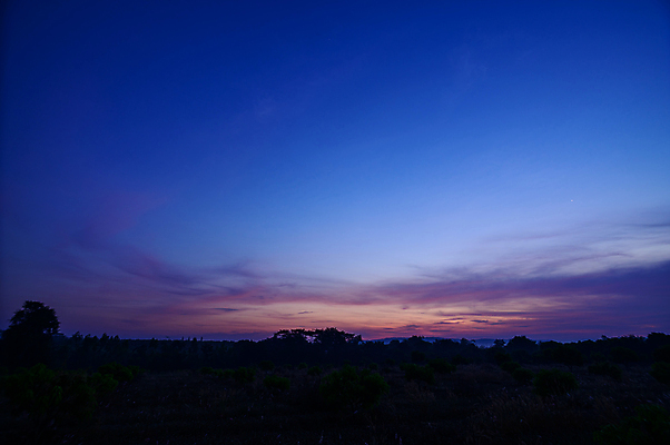 포토 JPG 해외이미지 구름 백그라운드 오렌지 자연 하늘 아침 추상 파노라마 풍경 사람없음 여름 파란색 컬러풀 태양 뷰티 맑음 황혼 새벽 황금 저녁 장면 수평선 해외포토 주간 자연요소 계절 컬러 무늬 과일 날씨 촬영기법 일몰 야간 생태계 파일형식 이미지허브