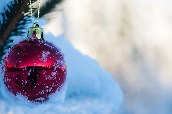 포토 JPG 해외이미지 주간 크리스마스장식 겨울 매달리기 사람없음 야외 아웃포커스 눈 걸림 오너먼트 해외포토 자연요소 계절 크리스마스 모션 날씨 촬영기법 파일형식 이미지허브