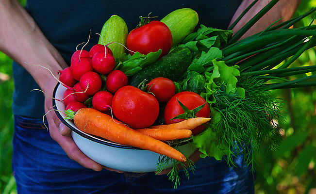포토 JPG 해외이미지 식물 손 배너 음식 백그라운드 농업 토마토 채소 과일 자연 건강 사람 사람없음 야외 빨간색 초록색 여름 농작물 상자 농장 바구니 정원 당근 수확 성장 가을 신선 잡기 시장 농부 먹기 유기농 원예 날것 후추 내추럴 숙성 원예사 채식주의자 카피스페이스 세련 해외포토 직업 웰빙 계절 산업 컬러 모션 뿌리채소 취미 신체부위 공백 향신료 생태계 채식 파일형식 이미지허브