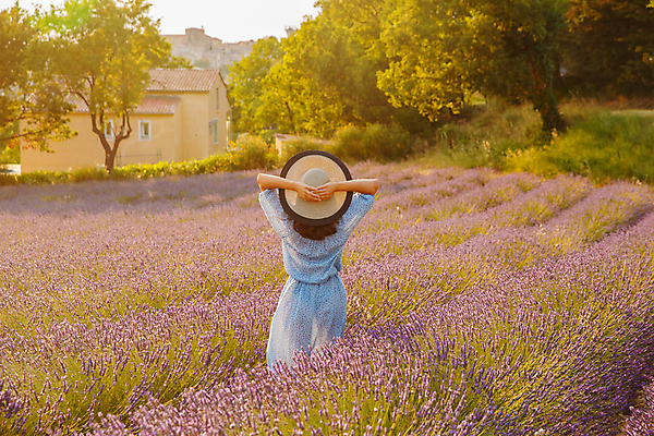 포토 JPG 해외이미지 주간 나무 여자 주택 한명 손짓 상반신 성인 야외 뒷모습 손들기 보라색 프랑스 라벤더 프로방스 성인여자한명만 해외포토 자연요소 식물 1 꽃 유럽 뷰포인트 컬러 모션 사람 건물 허브 여자한명만 성인여자만 파일형식 이미지허브