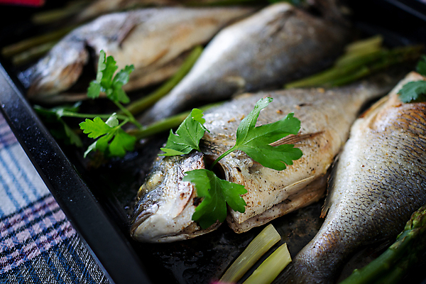 포토 JPG 해외이미지 라이프스타일 접시 음식 조각 백그라운드 다이어트 채소 재료 부분 건강 어류 요리 사람없음 초록색 컬러풀 식당 식사 저녁식사 샐러드 튀김 신선 맛 그릴 기름 굽기 지중해 먹기 레몬 허브 해산물 향신료 메뉴 준비 유기농 소금 시금치 로즈메리 내추럴 점심식사 맛있는 해외포토 식물 식기 웰빙 바다 컬러 컨셉 과일 모션 주방용품 생활 상점 수중동물 구이 향미료 파일형식 이미지허브