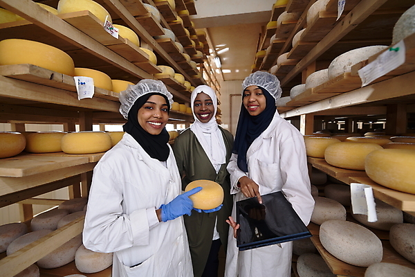 포토 JPG 해외이미지 응시 여자 공장 치즈 선반 들기 상반신 성인 옆모습 세명 노트북 가리킴 저장 발효 수납 숙성 저장소 성인여자만 해외포토 시선 뷰포인트 가구 공업 모션 유제품 사람 손짓 전자제품 여자만 성인만 파일형식 이미지허브