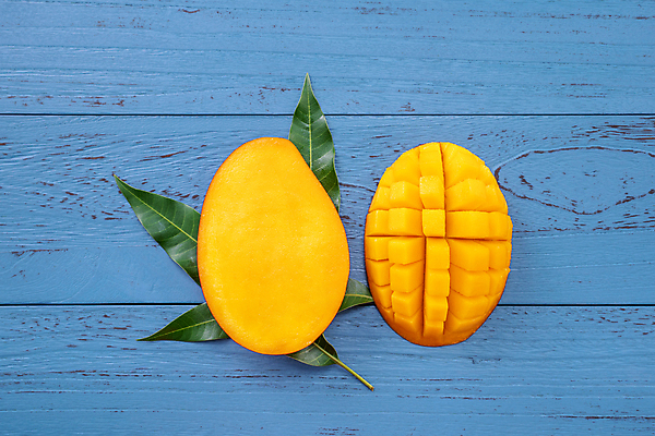 포토 JPG 해외이미지 스튜디오촬영 하늘색 나뭇잎 사람없음 노란색 망고 해외포토 컬러 잎 실내 파란색 열대과일 파일형식 이미지허브