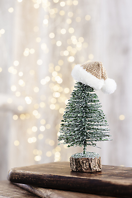 포토 JPG 해외이미지 크리스마스 산타모자 실내 사람없음 아웃포커스 크리스마스트리 미니어처 보케 미니트리 해외포토 모자_잡화 기념일 촬영기법 내부 모형 파일형식 이미지허브