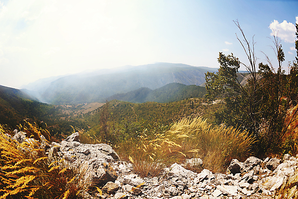 포토 JPG 해외이미지 나무 식물 구름 계절 공원 유럽 여행 백그라운드 밭 자연 하늘 아침 산 파노라마 풍경 초원 사람없음 야외 초록색 여름 파란색 빛 햇빛 태양 환경 맑음 봄 전원 시골 신선 숲 땅 언덕 각도 장면 내추럴 어안 평야 해외포토 주간 자연요소 공공시설 나라 컬러 농업 날씨 촬영기법 전기에너지 생태계 파일형식 이미지허브