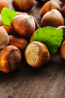 포토 JPG 해외이미지 실내 사람없음 아웃포커스 견과류 헤이즐넛 나무배경 해외포토 백그라운드 촬영기법 내부 파일형식 이미지허브