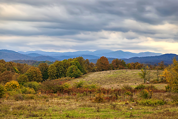 포토 JPG 해외이미지 주간 나무 구름 공원 풍경 사람없음 야외 가을 숲 땅 언덕 해외포토 자연요소 식물 계절 공공시설 파일형식 이미지허브