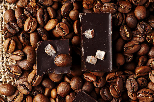 포토 JPG 해외이미지 백그라운드 사람없음 갈색 초콜릿 원두 해외포토 커피 컬러 디저트 파일형식 이미지허브