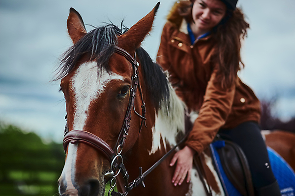 포토 JPG 해외이미지 주간 한마리 라이프스타일 응시 여자 행복 사랑 한명 미소 성인 야외 앞모습 친구 우정 터치 말_동물 승마 승차 주인 성인여자한명만 해외포토 자연요소 1 시선 감정 스포츠 뷰포인트 포유류 관계 모션 표정 사람 생활 여자한명만 성인여자만 파일형식 이미지허브