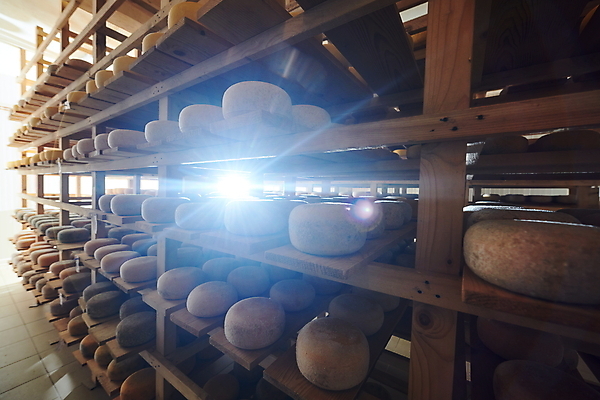 포토 JPG 해외이미지 공장 치즈 선반 사람없음 빛 쌓기 제조 저장 유기농 발효 수납 숙성 저장소 전통방식 많음 해외포토 전통 웰빙 가구 컨셉 공업 모션 유제품 파일형식 이미지허브