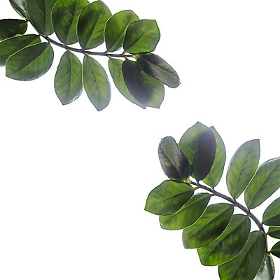 포토 JPG 해외이미지 식물 디자인 꽃 화초 백그라운드 잎 꽃무늬 자연 주택 사람없음 내부 장식 초록색 정원 봄 성장 나뭇가지 신선 신용카드 내추럴 고립 카피스페이스 해외포토 나무 계절 컬러 무늬 건물 금융 공백 생태계 파일형식 이미지허브