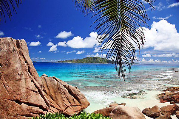 포토 JPG 해외이미지 주간 하늘 해변 사람없음 야외 야자수잎 해외포토 자연요소 바다 잎 파일형식 이미지허브