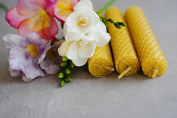 포토 JPG 해외이미지 꽃 종교 백그라운드 촛불 자연 휴가 주택 건강 선물 사람없음 내부 장식 빛 뷰티 약 노란색 환경 상점 스파 시골 축하 황금 에코 친환경 유기농 아로마 향 꿀 아로마테라피 테라피 벌집 내추럴 밀랍 심지 왁스 정물화 핸드메이드 플랫레이 해외포토 식물 웰빙 컬러 컨셉 초 의학 건물 플랫 그림 생태계 파일형식 이미지허브