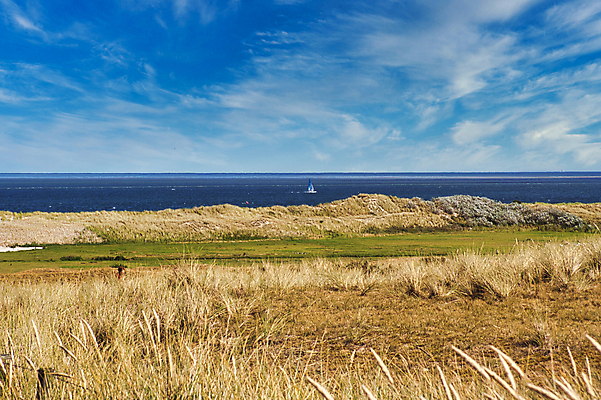 포토 JPG 해외이미지 식물 계절 꽃 바다 섬 백그라운드 밭 농업 자연 하늘 풍경 초원 사람없음 야외 여름 파란색 빛 컬러풀 햇빛 태양 뷰티 농장 맑음 벚꽃 흰색 시골 내추럴 해외포토 자연요소 산업 컬러 날씨 생태계 파일형식 이미지허브
