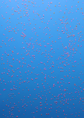 포토 JPG 해외이미지 디자인 배너 드레스 분홍색 하늘색 백그라운드 크리스마스 패턴 벽지 추상 경사 사람없음 파란색 빛 반짝임 섹시 파티 봄 마음 직물 생일 화려 고급 우아함 저녁 소프트포커스 인쇄 질감 디스코 네온 80대 광 포장소품 스타일 플랫레이 해외포토 옷 계절 기념일 노년 음악 컬러 컨셉 무늬 포장 모션 촬영기법 이벤트 춤 플랫 야간 오브젝트 포장재료 파일형식 이미지허브