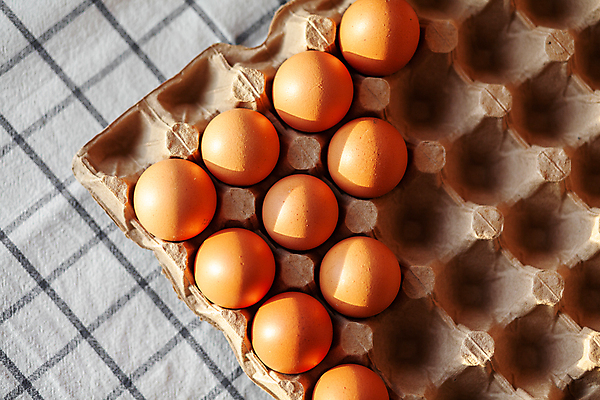 포토 JPG 해외이미지 실내 사람없음 하이앵글 계란 식탁보 계란판 해외포토 뷰포인트 내부 알 파일형식 이미지허브