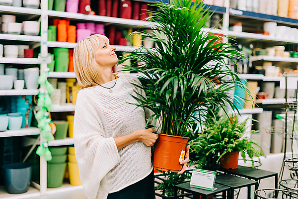 포토 JPG 해외이미지 식물 백인 라이프스타일 여자 꽃 행복 화초 주택 실내 손바닥 한명 사람 성인 캐주얼 초록색 컬러풀 세일 상점 성장 잡기 센터 시장 선택 구매 쇼핑몰 꽃집 고객 원예 소매 슈퍼마켓 내추럴 심기 온실 해외포토 서양인 1 손 옷 감정 컬러 컨셉 모션 취미 내부 건물 생활 쇼핑 파일형식 이미지허브