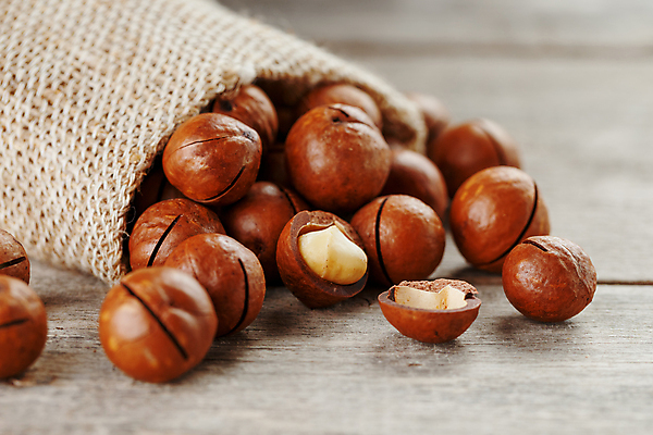 포토 JPG 해외이미지 사람없음 쏟아짐 포대자루 마카다미아 나무배경 해외포토 백그라운드 모션 견과류 자루 파일형식 이미지허브