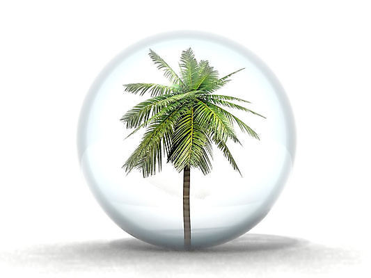 포토 JPG 해외이미지 나무 식물 구름 1 디자인 계절 문화 캠페인 단풍 잎 채소 자연 하늘 안전 사람 초원 사람없음 야외 초록색 파란색 반사 평화 환경 거품 거울 시골 투명 고독 보호 위험 시원함 보안 장면 시트 생태학 진짜 유일 해외포토 자연요소 교육 감정 컬러 컨셉 생태계 파일형식 이미지허브