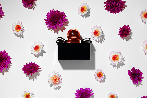 포토 JPG 해외이미지 꽃 실내 사람없음 하이앵글 한개 뷰티 오브젝트 흰배경 공병 향수병 목업 해외포토 식물 1 뷰포인트 백그라운드 내부 흰색 향수 병_담는 파일형식 이미지허브