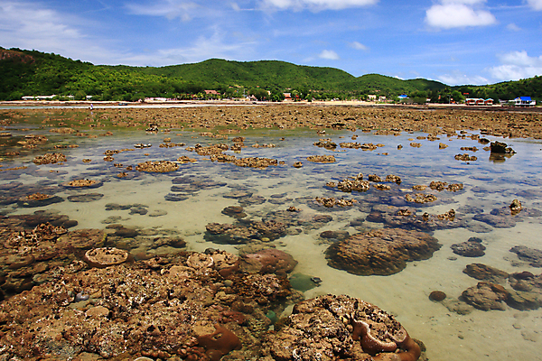 포토 JPG 해외이미지 바다 섬 여행 태국 자연 낚시 휴가 열대 풍경 사람없음 물 컬러풀 환경 수중 스노클링 산호 보호 숲 썰물 생태계 다이빙 카약 암초 서식지 내추럴 다도해 안다만 집시 해외포토 자연요소 아시아 컬러 컨셉 레저 수영 수상스포츠 자포동물 수중스포츠 파일형식 이미지허브