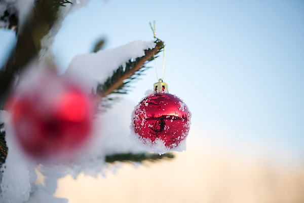 포토 JPG 해외이미지 주간 크리스마스장식 겨울 매달리기 사람없음 야외 아웃포커스 눈 소프트포커스 걸림 오너먼트 해외포토 자연요소 계절 크리스마스 모션 날씨 촬영기법 파일형식 이미지허브