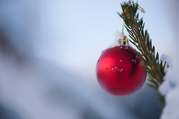 포토 JPG 해외이미지 주간 크리스마스장식 겨울 매달리기 사람없음 야외 아웃포커스 눈 걸림 오너먼트 해외포토 자연요소 계절 크리스마스 모션 날씨 촬영기법 파일형식 이미지허브