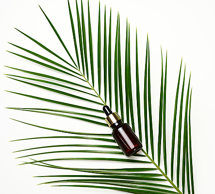 포토 JPG 해외이미지 잎 실내 사람없음 한개 뷰티 오브젝트 흰배경 공병 앰플 해외포토 식물 1 백그라운드 내부 흰색 병_담는 파일형식 이미지허브