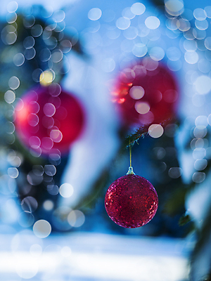 포토 JPG 해외이미지 주간 크리스마스장식 겨울 매달리기 사람없음 야외 아웃포커스 눈 보케 걸림 오너먼트 해외포토 자연요소 계절 크리스마스 모션 날씨 촬영기법 파일형식 이미지허브