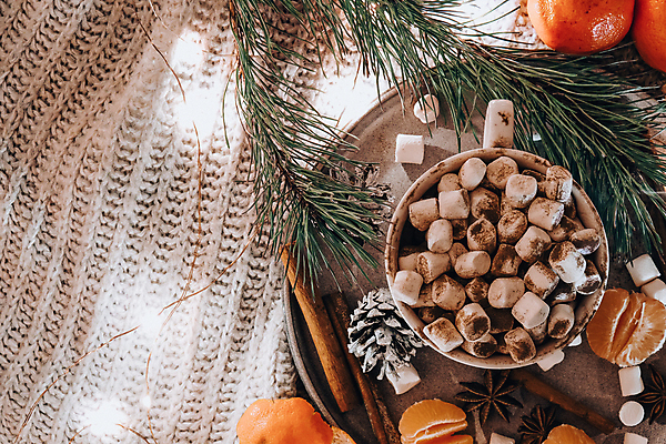 포토 JPG 해외이미지 잎 귤 실내 따뜻함 사람없음 하이앵글 코코아 마시멜로우 해외포토 식물 음료 뷰포인트 과일 디저트 내부 파일형식 이미지허브