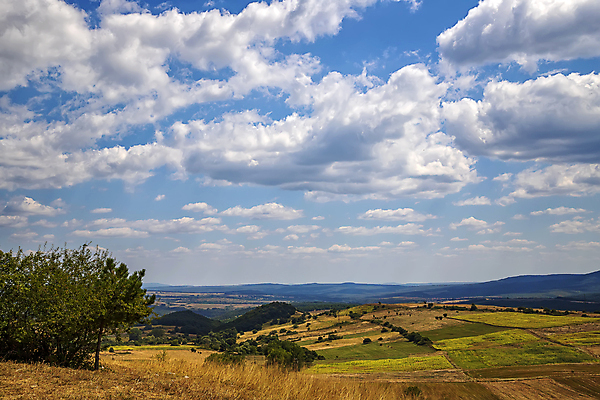 포토 JPG 해외이미지 식물 계절 공원 지구 여행 백그라운드 패턴 밭 농업 자연 하늘 표면 산 파노라마 사람없음 야외 초록색 햇빛 뷰티 농경지 환경 계곡 성장 시골 거친 큼 땅 언덕 질감 날것 장면 내추럴 땅바닥 밭일 수평선 세련 해외포토 공공시설 산업 컬러 무늬 바닥 촬영기법 태양 농장 크기 생태계 파일형식 이미지허브