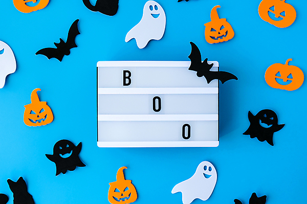 포토 JPG 해외이미지 실내 사람없음 할로윈 유령 파란배경 박쥐 라이트박스 잭오랜턴 해외포토 백그라운드 포유류 내부 파란색 파일형식 이미지허브