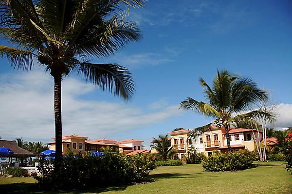 포토 JPG 해외이미지 식물 남자 꽃 야생동물 모래 여행 꽃무늬 자연 하늘 건조 따뜻함 국립공원 사람없음 물 모래사장 태양 뷰티 걷기 일출 봄 시골 잡초 보호 숲 모래언덕 사하라 내추럴 어려움 해외포토 자연요소 동물 계절 공원 바다 컨셉 무늬 모션 아프리카 사람 노을 사막 언덕 생태계 파일형식 이미지허브