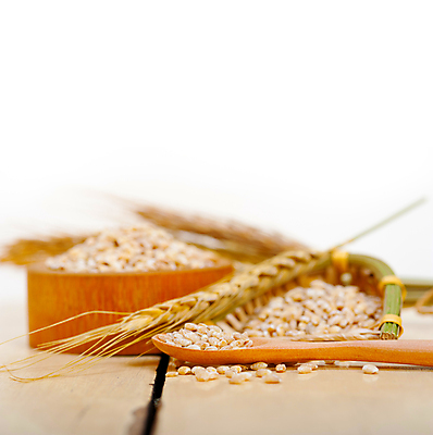 포토 JPG 해외이미지 근접촬영 사람없음 농작물 낟알 보리 보리이삭 해외포토 뷰포인트 농업 곡류 이삭 파일형식 이미지허브