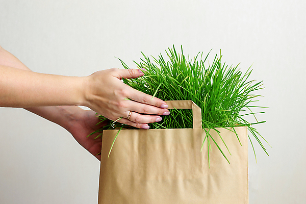 포토 JPG 해외이미지 식물 손 계절 여자 음식 백그라운드 컨셉 농업 다이어트 채소 비즈니스 자연 건강 씨앗 사람없음 초록색 새싹 주방 정원 앞치마 봄 샐러드 신선 잡기 허브 에코 친환경 유기농 날것 건강식 내추럴 모종 바이오 생태학 채식주의자 비건 해외포토 웰빙 교육 산업 컬러 모션 사람 신체부위 환경 생태계 채식 파일형식 이미지허브