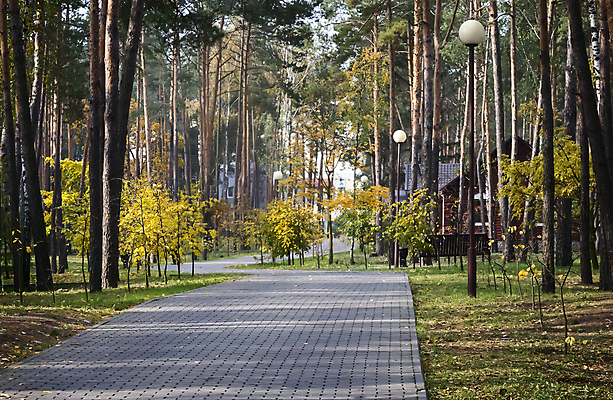포토 JPG 해외이미지 나무 식물 계절 공원 백그라운드 낙엽 잎 자연 추상 건조 파노라마 풍경 사람없음 야외 목재 빨간색 빛 컬러풀 햇빛 태양 뷰티 노란색 걷기 환경 정원 광선 가을 전원 황금 숲 큼 유기농 장면 파라다이스 카피스페이스 해외포토 자연요소 웰빙 공공시설 컬러 무늬 재료 모션 촬영기법 공백 전기에너지 크기 생태계 파일형식 이미지허브