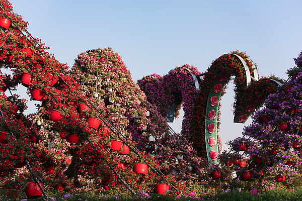포토 JPG 해외이미지 주간 자연 사람없음 야외 정원 봄 해외포토 자연요소 계절 생태계 파일형식 이미지허브