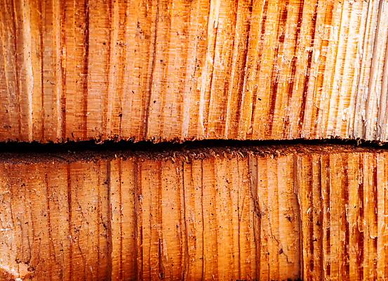 포토 JPG 해외이미지 모양 나무 선 조각 백그라운드 십자가 패턴 부분 표면 추상 건조 사람없음 목재 갈색 성장 광선 반지 원형 균열 닫기 자르기 묘사 질감 통나무 층 잡동사니 방사형 수목 옛날 해외포토 도형 식물 컬러 무늬 재료 장신구 모션 파일형식 이미지허브