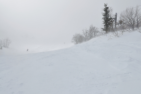 포토 JPG 해외이미지 주간 겨울 사람없음 야외 설원 눈 눈보라 겨울풍경 눈덮임 해외포토 자연요소 계절 컨셉 날씨 눈_날씨 풍경 파일형식 이미지허브
