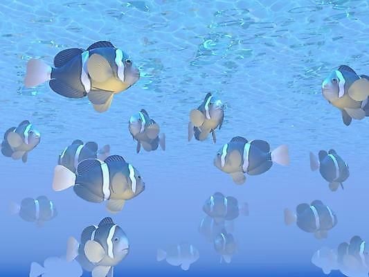 포토 JPG 해외이미지 동물 바다 백그라운드 오렌지 일러스트 모션 자연 어류 사람없음 빨간색 초록색 물 파란색 컬러풀 뷰티 노란색 3D 검은색 수중 수영 광대 흰색 다이빙 만들기 찌르기 내추럴 동물상 소금물 많음 해외일러스트 자연요소 컬러 컨셉 과일 조형물 수중동물 수상스포츠 디지털합성 생태계 수중스포츠 파일형식 이미지허브