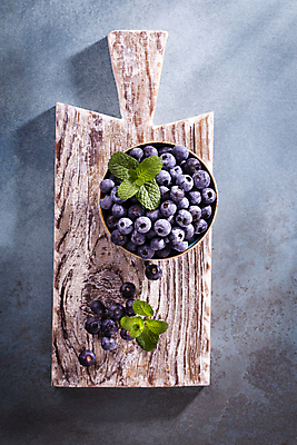 포토 JPG 해외이미지 식물 열매 음식 백그라운드 농업 다이어트 과일 자연 디저트 건강 사람없음 목재 파란색 그룹 사발 달콤 맛 먹기 유기농 블루베리 날것 흙더미 내추럴 숙성 채식주의자 맛있는 해외포토 나무 웰빙 산업 컬러 컨셉 재료 모션 흙 사기그릇 생태계 채식 파일형식 더미 이미지허브