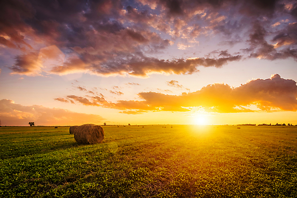 포토 JPG 해외이미지 자연 하늘 사람없음 야외 햇빛 태양 일몰 건초더미 해외포토 자연요소 노을 건초 생태계 파일형식 더미 이미지허브