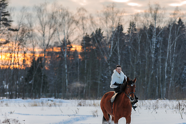 포토 JPG 해외이미지 동물 백인 라이프스타일 계절 여자 행복 겨울 밭 농업 포유류 자연 하늘 한명 사람 야외 파란색 치마 달리기 뷰티 농장 갈색 검은색 힘 봄 흰색 승마 우아함 승차 숲 속도 안장 굴레 기르기 무료 선두 해외포토 서양인 1 감정 산업 스포츠 컬러 컨셉 모션 하의 생활 생태계 돌봄 파일형식 이미지허브