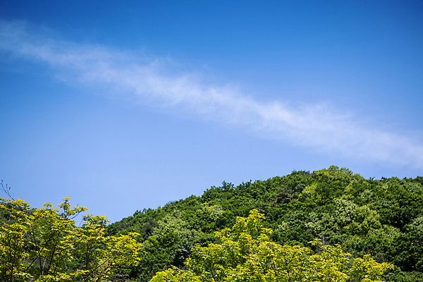 포토 JPG 주간 구름 자연 하늘 나뭇잎 산 풍경 사람없음 야외 여름 맑음 여름풍경 울창 국내포토 자연요소 계절 잎 날씨 생태계 파일형식 여름_계절